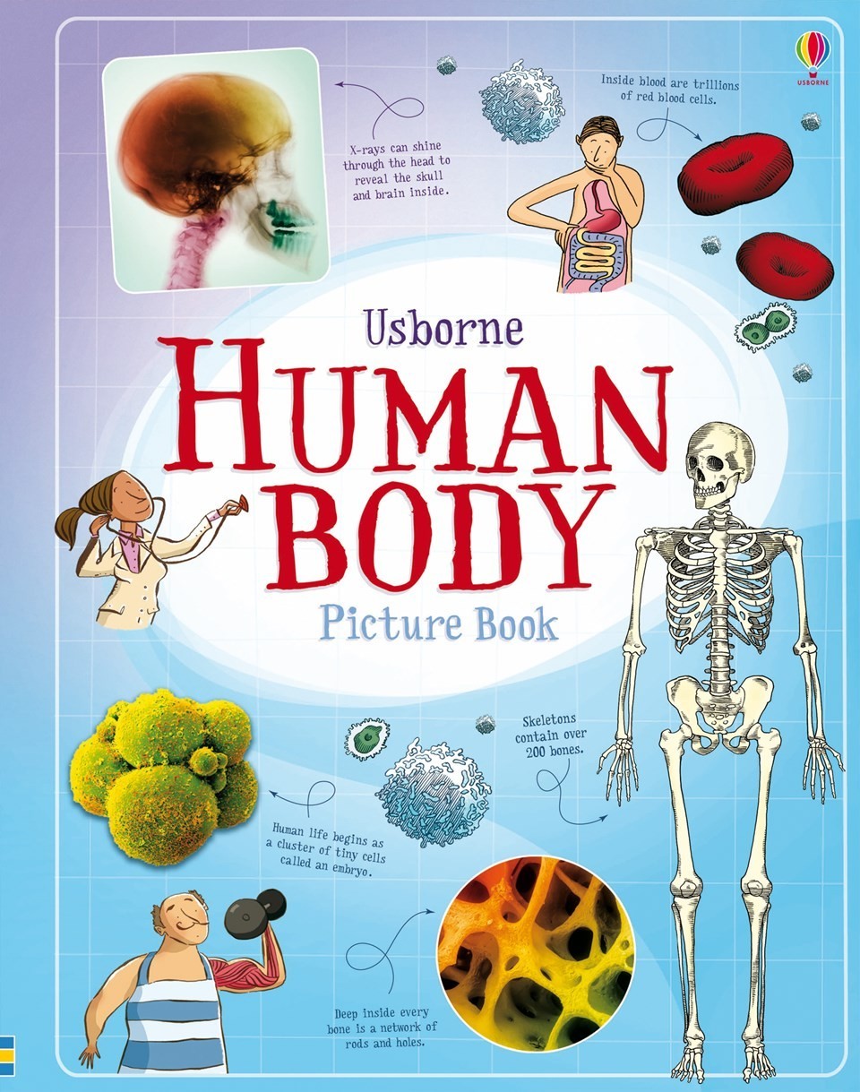 Human body picture book