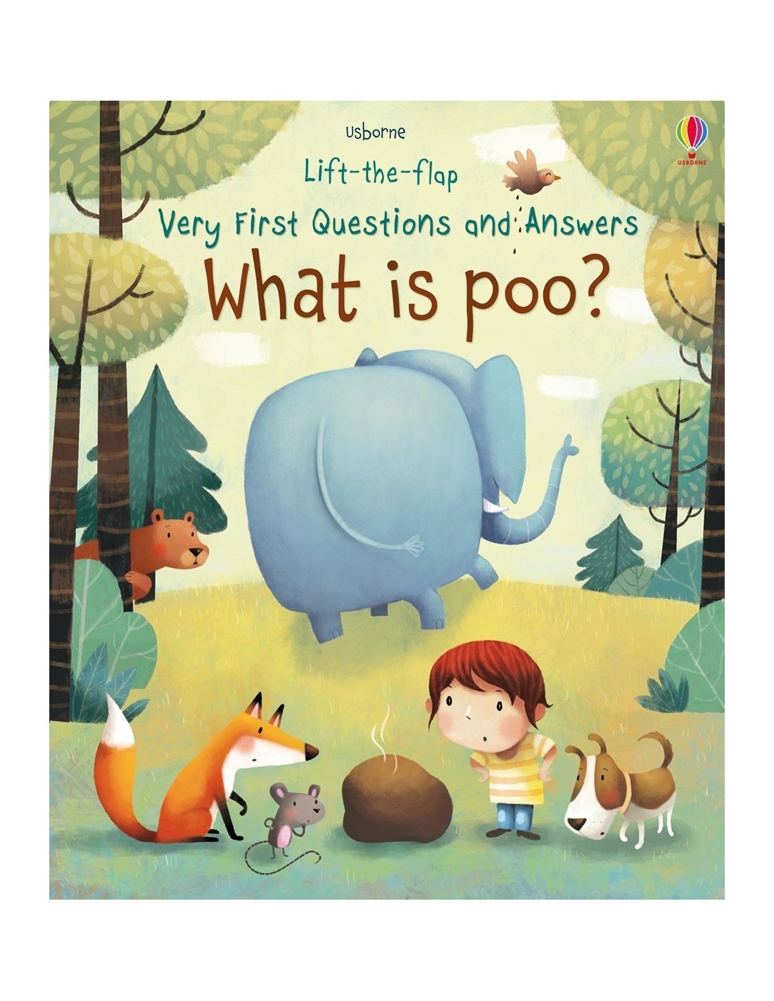 What is poo?