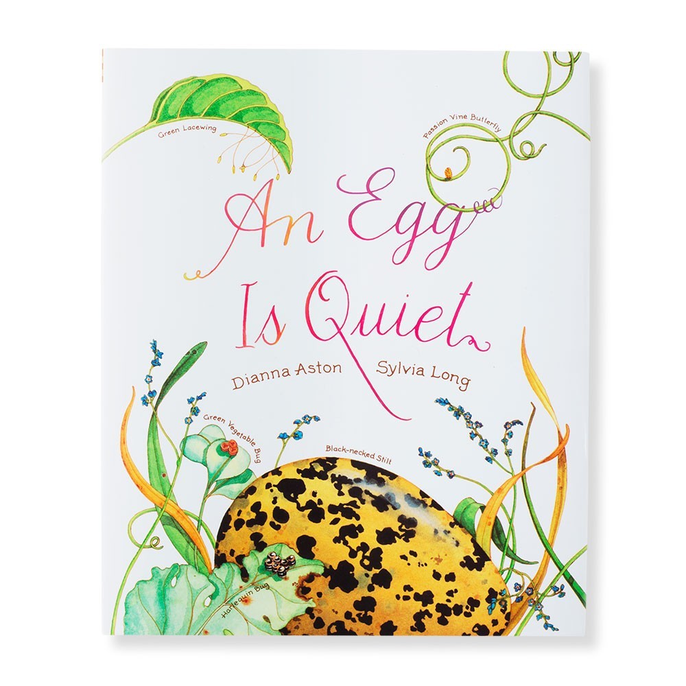 An egg is quiet