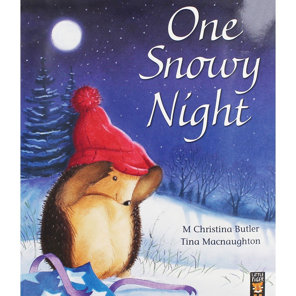 One Snowy Night