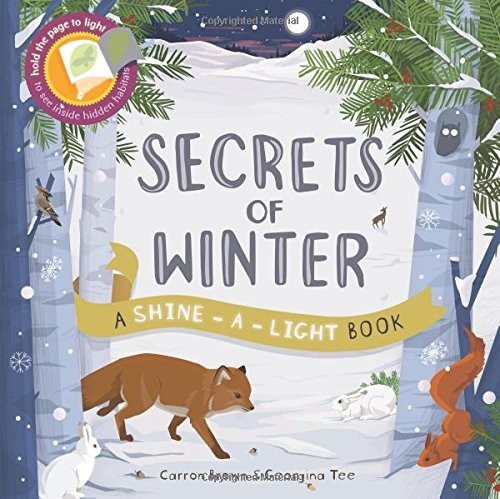 Secrets of Winter : A Shine-a-light book