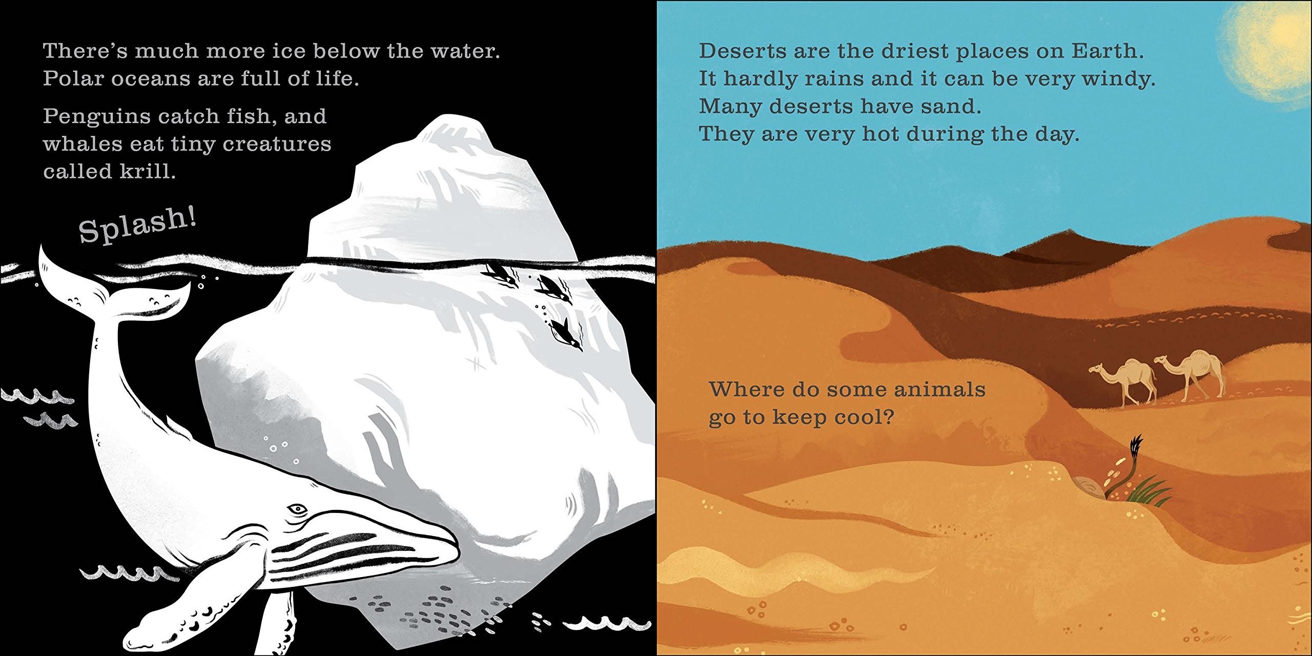 Secrets of Our Earth : A Shine-a-Light Book - 1 | YEO