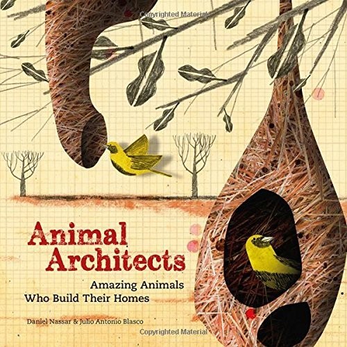 Animal Architects : The brilliant builders of the animal kingdom