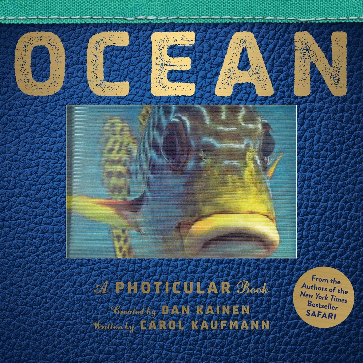 Ocean : A Photicular Book
