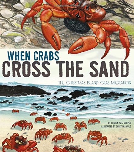 When Crabs Cross the Sand : The Christmas Island Crab Migration