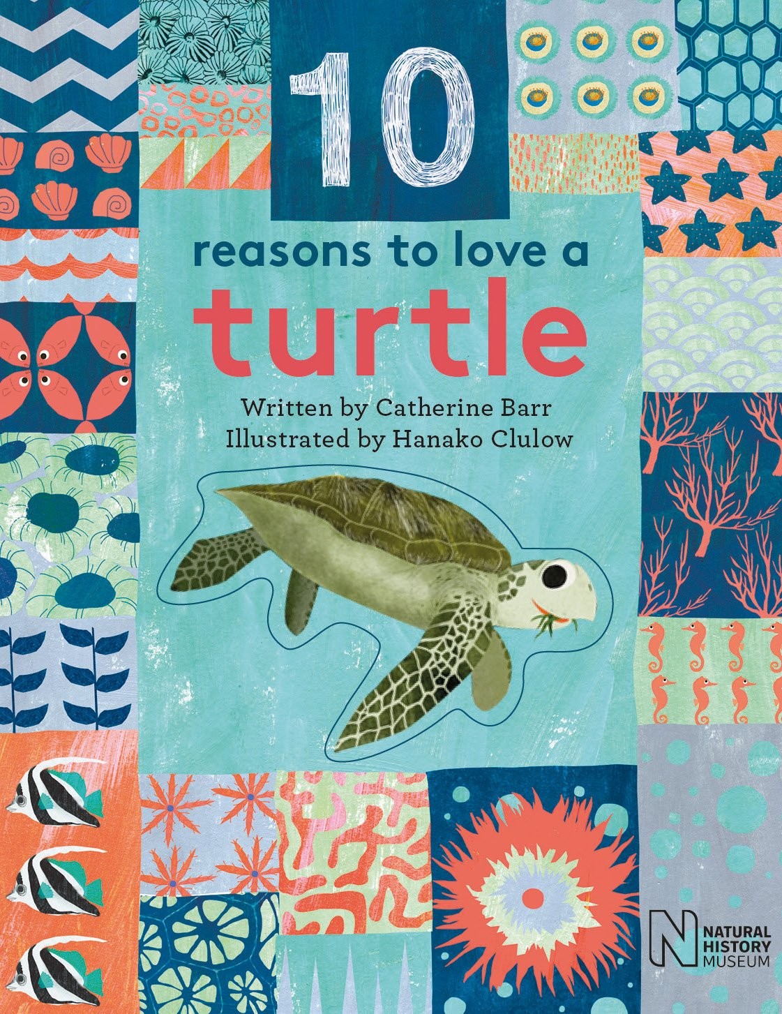 10 Reasons to Love a... Turtle