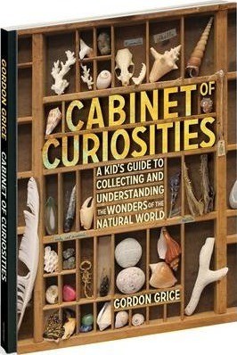 Cabinet Of Curiosities : Collecting and Understanding the Wonders of the Natural World