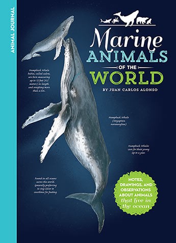 Animal Journal: Marine Animals of the World : Notes, drawings, and observations about animals that live in the ocean