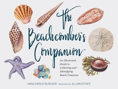 The Beachcomber\'s Companion : An Illustrated Guide to Collecting and Identifying Beach Treasures