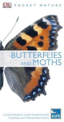 Butterflies and Moths : A Photographic Guide to British and European Butterflies and Moths