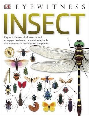 Insect : Explore the world of insects and creepy-crawlies - the most adaptable and numerous creatures on the planet