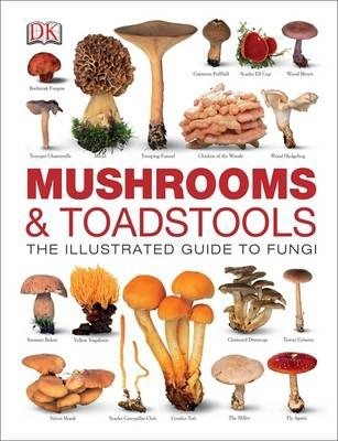 Mushrooms & Toadstools : The Illustrated Guide to Fungi