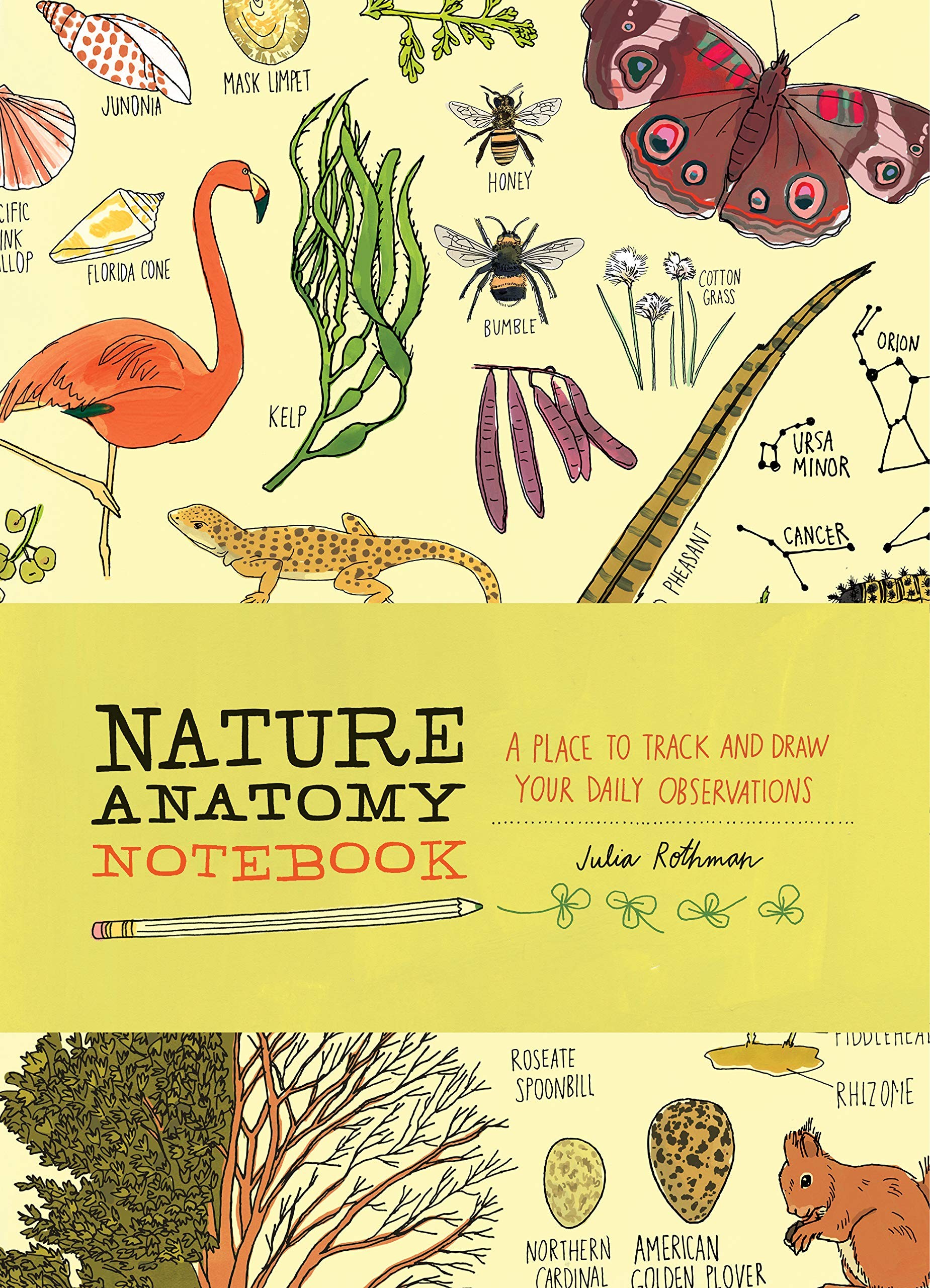 Nature Anatomy Notebook : A Place to Track and Draw Your Daily Observations
