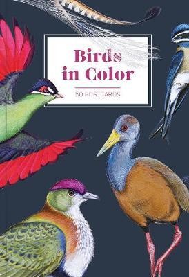 Birds in Color 50 Postcards