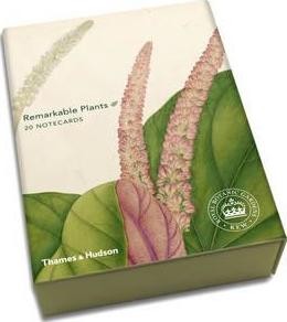 Remarkable Plants: Box of 20 Notecards