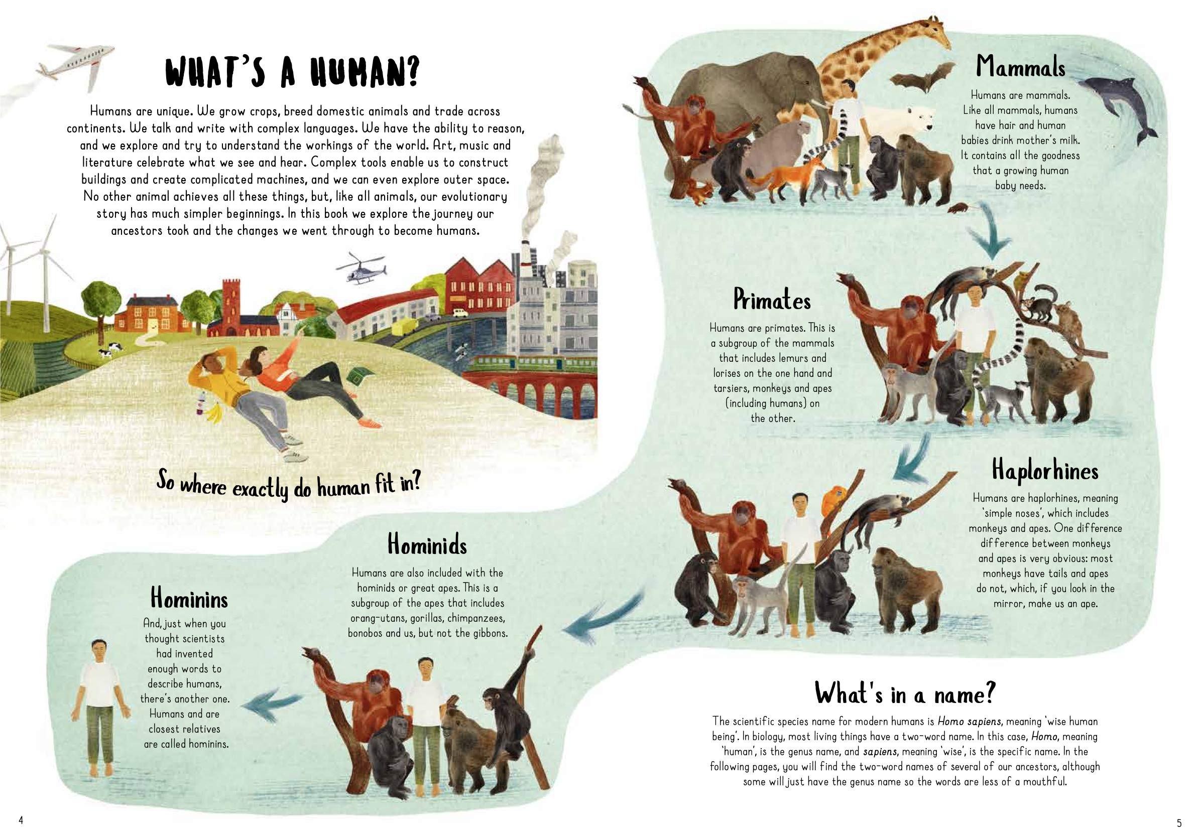 When We Became Humans : The Story of Our Evolution - 1 | YEO