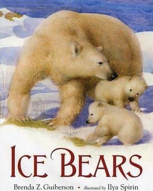 Ice Bears