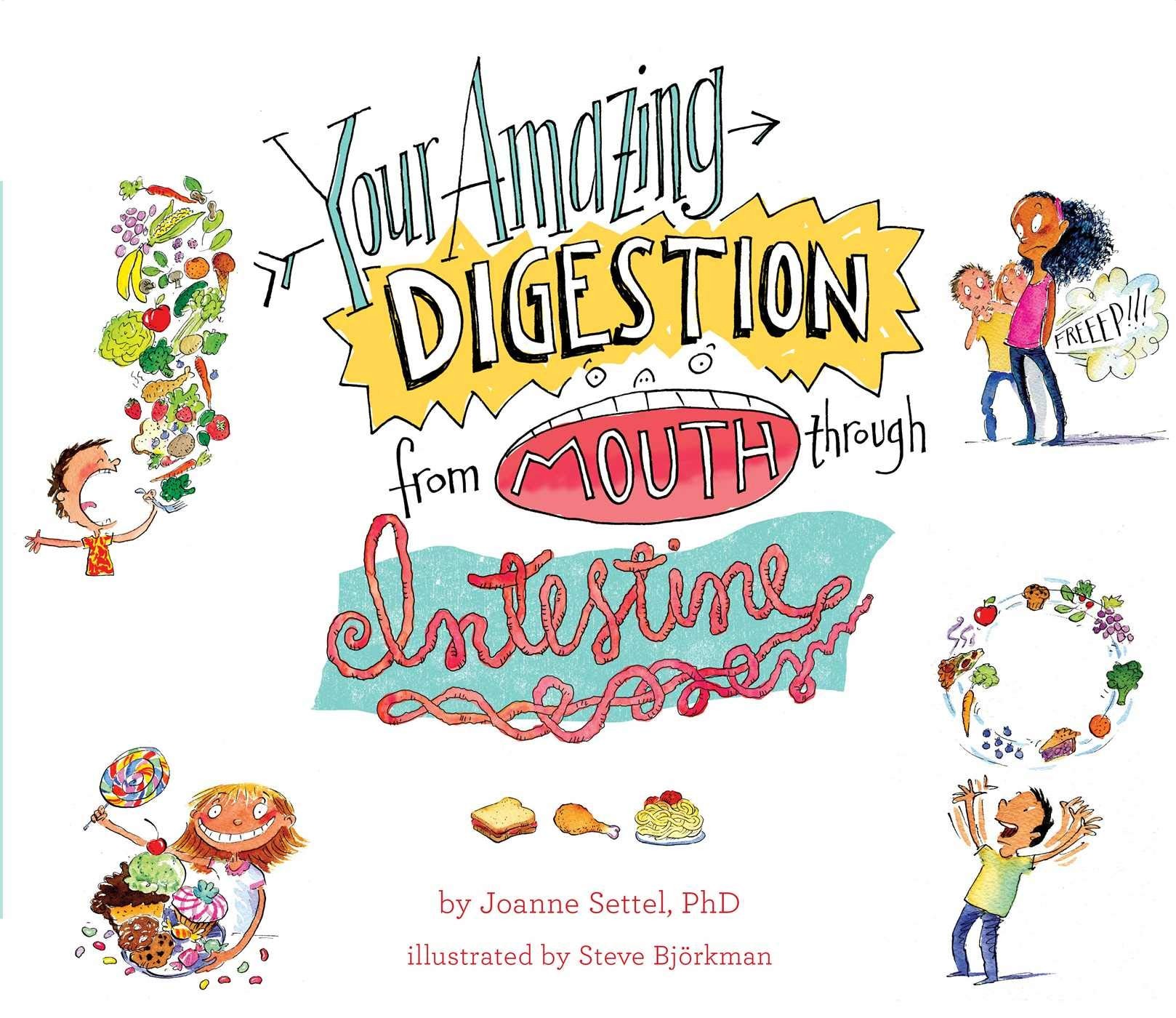 Your Amazing Digestion from Mouth through Intestine