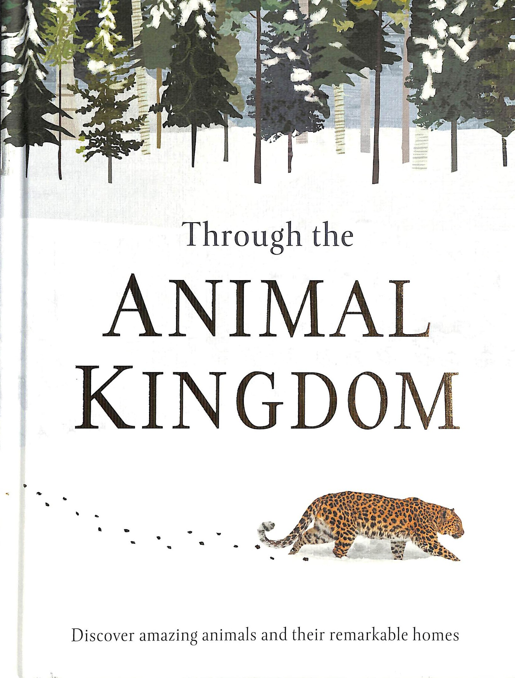 Through the Animal Kingdom : Discover Amazing Animals and Their Remarkable Homes