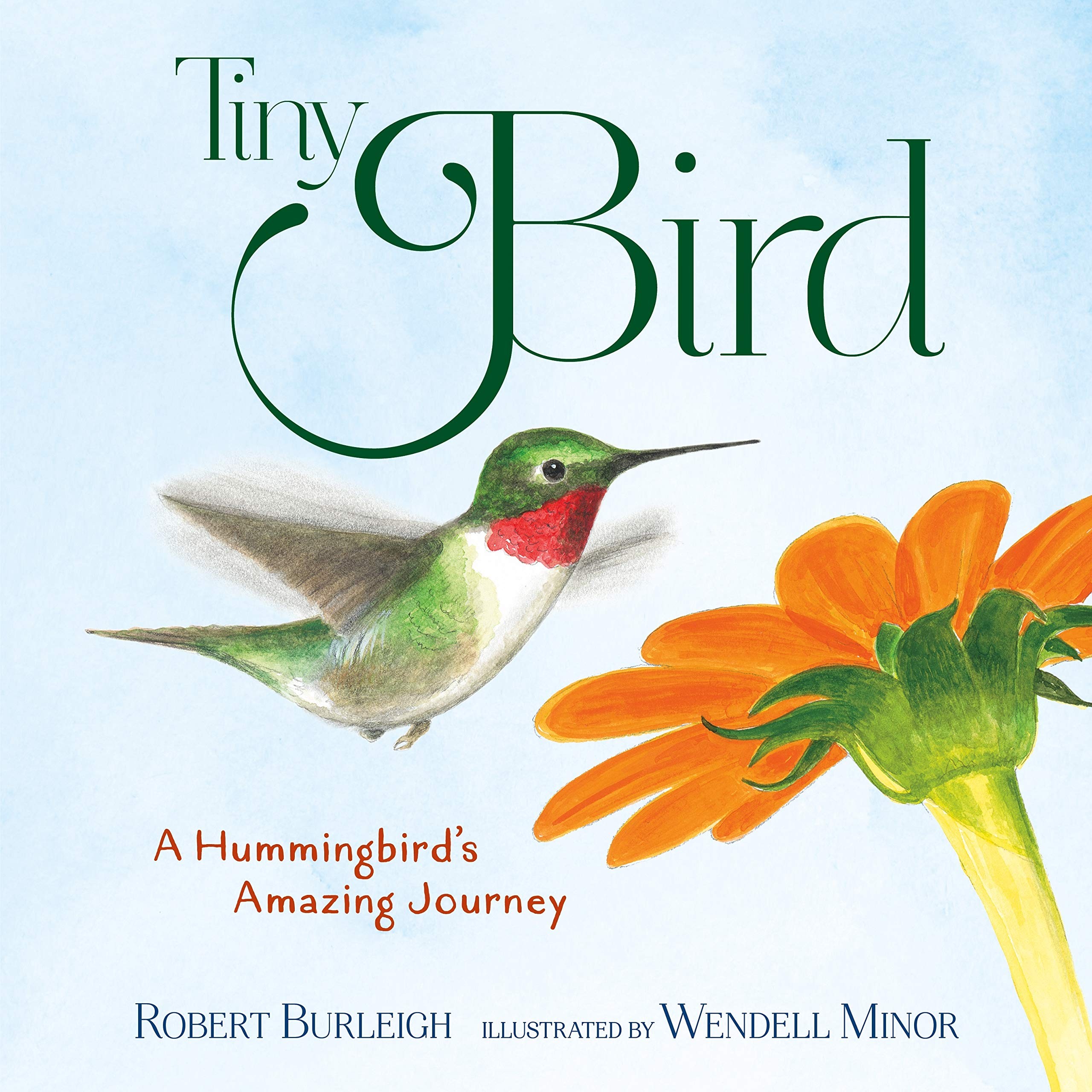 Tiny Bird : A Hummingbird\'s Amazing Journey