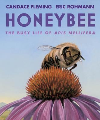 Honeybee : The Busy Life of APIs Mellifera