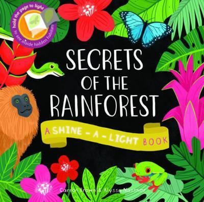 Shine a Light: Secrets of the Rainforest : A shine-a-light book