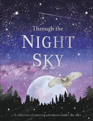 Through the Night Sky : A collection of amazing adventures under the stars