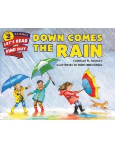 Down Comes The Rain