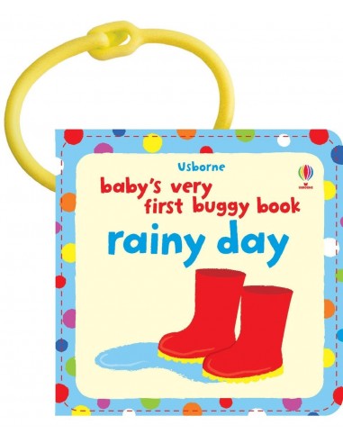Rainy day buggy book
