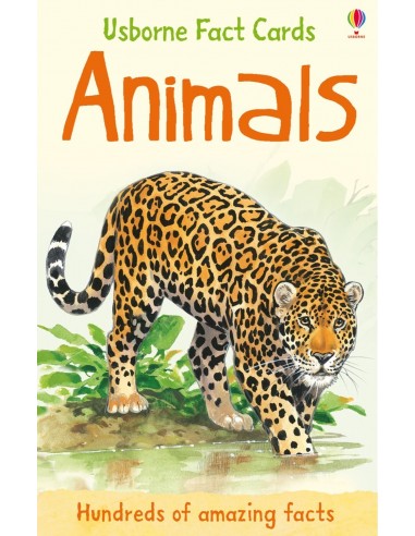 Animals fact cards