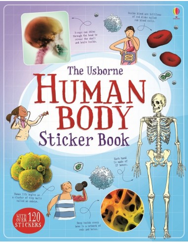 Human body sticker book