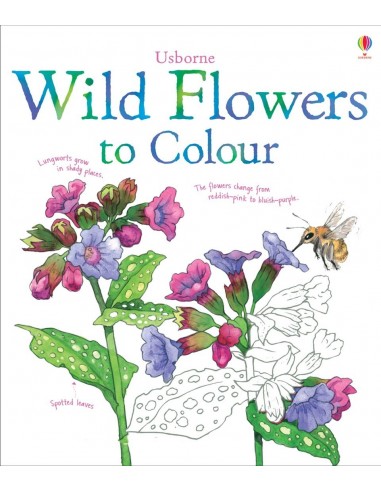 Wild flowers to colour