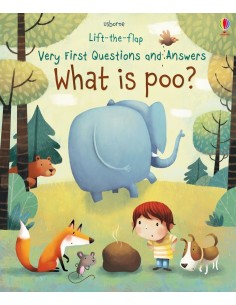 What is poo?