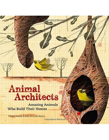 Animal Architects : The brilliant...