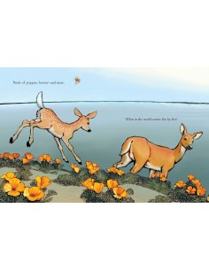 What in the World? :... 2