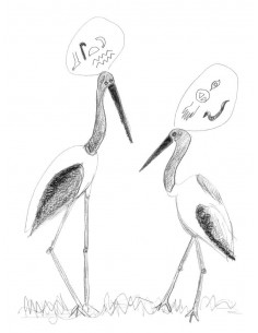 The Ugly Duckling : A Fairy... 2