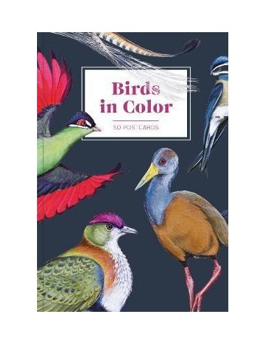 Birds in Color 50 Postcards
