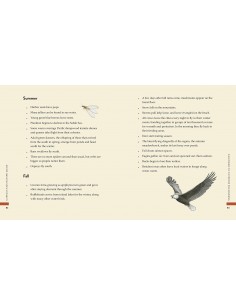 Curious Kids Nature Guide 2
