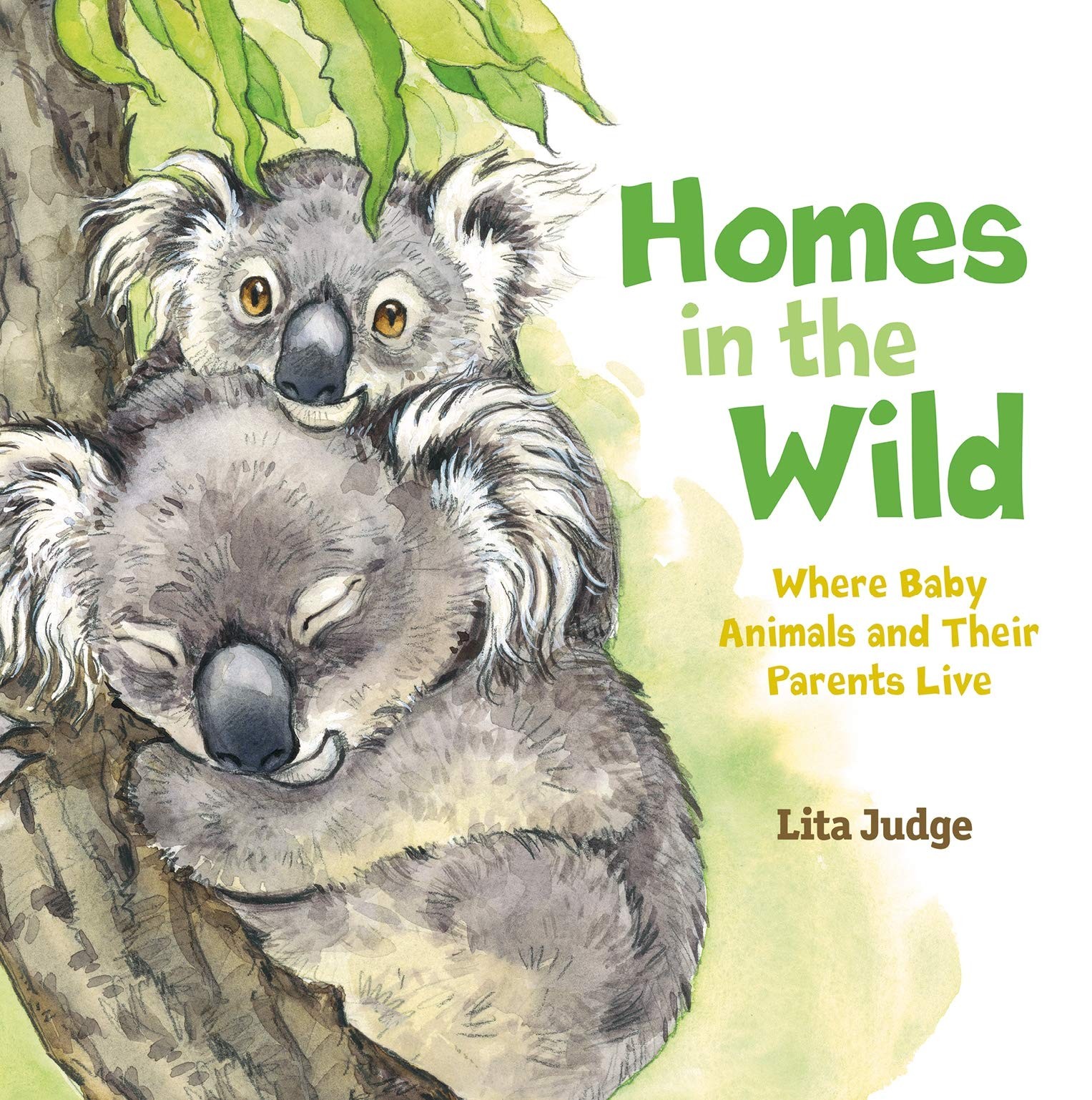 Homes in the Wild : Where Baby Animals and Their Parents ...