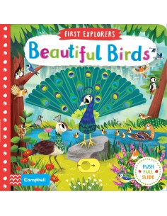 Beautiful Birds