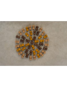 Mandala little mushroom 2