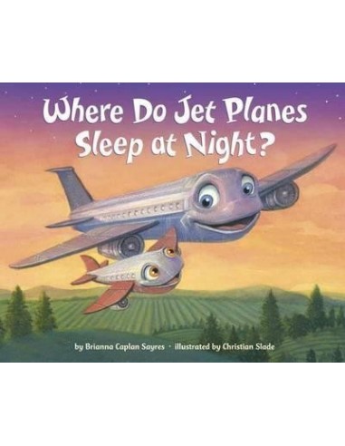 Where Do Jet Planes Sleep At Night?