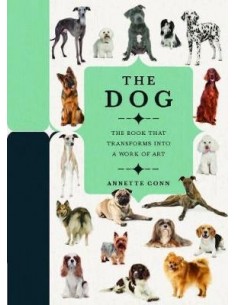 Paperscapes: The Dog