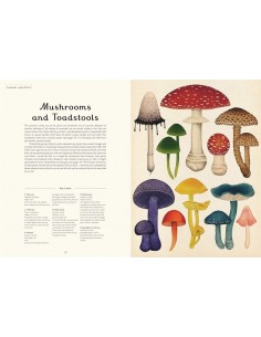 Fungarium 2