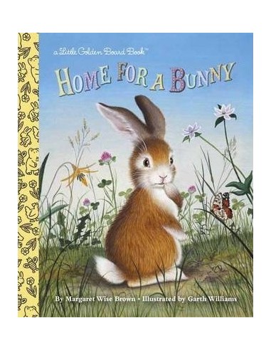Home For A Bunny Board Book