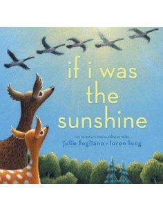 If I Was the Sunshine